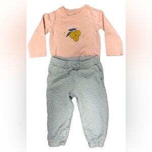 Peach Long Sleeve Top and Light green Pants Set
12months